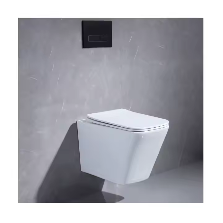 Wall-hung Toliet