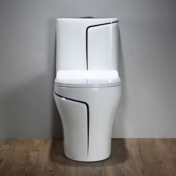 Wall mounted toilet