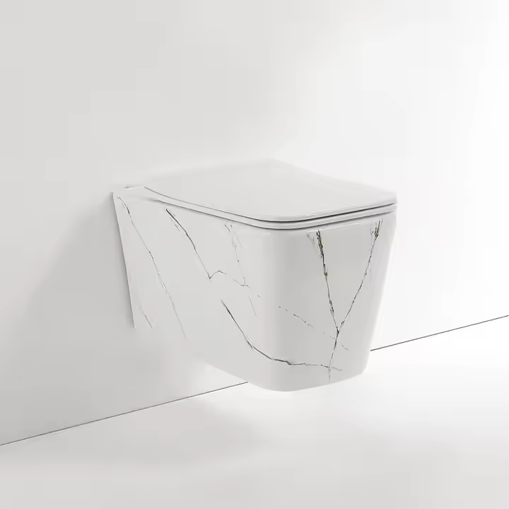 Hung Wc Toilets 